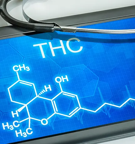 La teneur maximale en THC